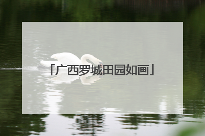 广西罗城田园如画
