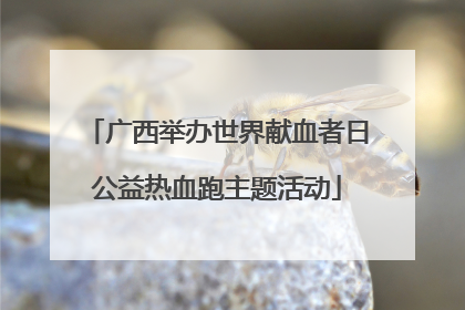 广西举办世界献血者日公益热血跑主题活动