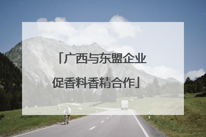 广西与东盟企业促香料香精合作