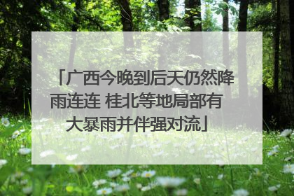 广西今晚到后天仍然降雨连连 桂北等地局部有大暴雨并伴强对流