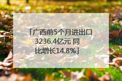 广西前5个月进出口3236.4亿元 同比增长14.8%