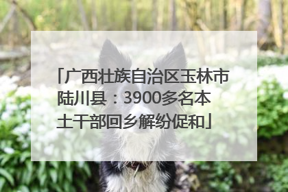 广西壮族自治区玉林市陆川县：3900多名本土干部回乡解纷促和