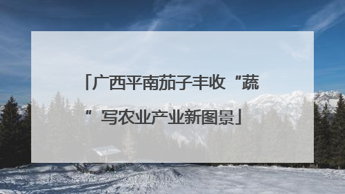 广西平南茄子丰收“蔬”写农业产业新图景