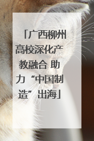 广西柳州高校深化产教融合 助力“中国制造”出海