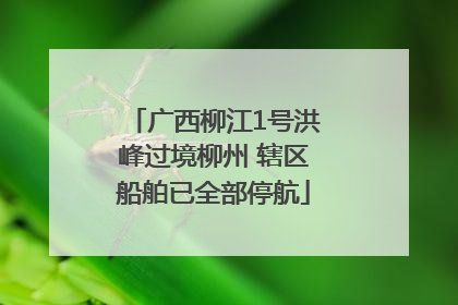 广西柳江1号洪峰过境柳州 辖区船舶已全部停航