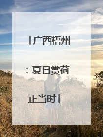 广西梧州：夏日赏荷正当时