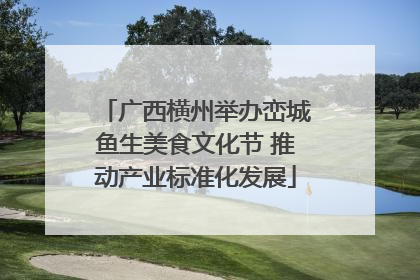 广西横州举办峦城鱼生美食文化节 推动产业标准化发展