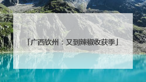 广西钦州：又到辣椒收获季