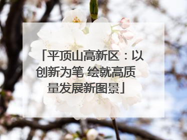 平顶山高新区：以创新为笔 绘就高质量发展新图景