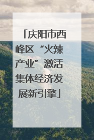 庆阳市西峰区“火辣产业”激活集体经济发展新引擎