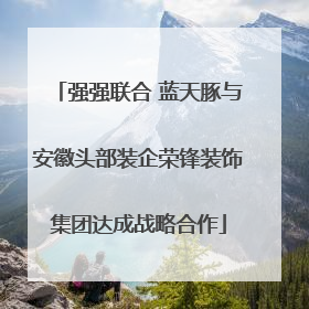 强强联合 蓝天豚与安徽头部装企荣锋装饰集团达成战略合作