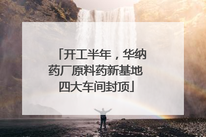开工半年，华纳药厂原料药新基地四大车间封顶