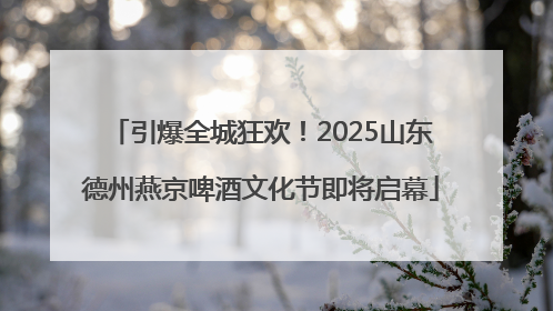 引爆全城狂欢！2025山东德州燕京啤酒文化节即将启幕