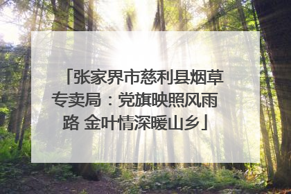 张家界市慈利县烟草专卖局：党旗映照风雨路 金叶情深暖山乡