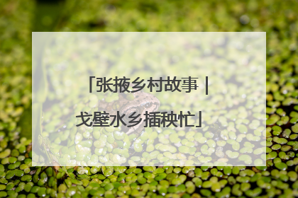 张掖乡村故事｜戈壁水乡插秧忙