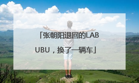 张朝阳退回的LABUBU，换了一辆车