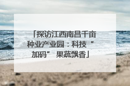 探访江西南昌千亩种业产业园：科技“加码” 果蔬飘香