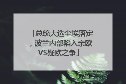 总统大选尘埃落定，波兰内部陷入亲欧VS疑欧之争