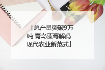 总产量突破9万吨 青岛蓝莓解码现代农业新范式