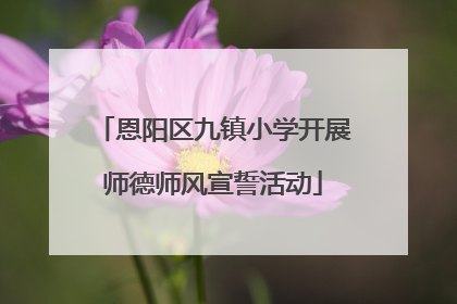 恩阳区九镇小学开展师德师风宣誓活动