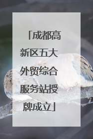 成都高新区五大外贸综合服务站授牌成立