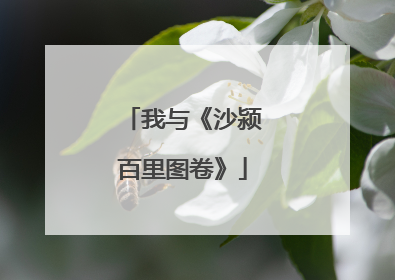 我与《沙颍百里图卷》