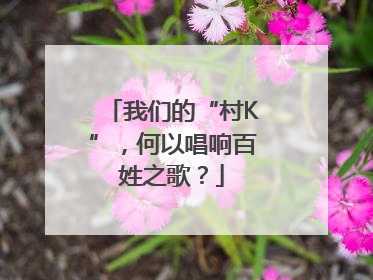 我们的“村K”，何以唱响百姓之歌？