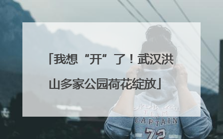 我想“开”了！武汉洪山多家公园荷花绽放