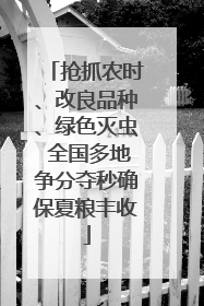 抢抓农时、改良品种、绿色灭虫 全国多地争分夺秒确保夏粮丰收