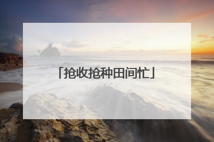 抢收抢种田间忙
