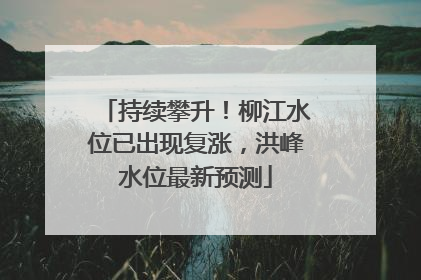 持续攀升！柳江水位已出现复涨，洪峰水位最新预测