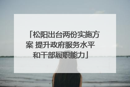 松阳出台两份实施方案 提升政府服务水平和干部履职能力