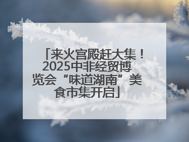 来火宫殿赶大集！2025中非经贸博览会“味道湖南”美食市集开启