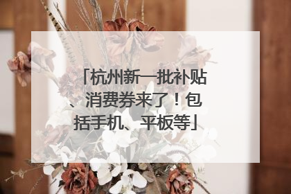 杭州新一批补贴、消费券来了！包括手机、平板等