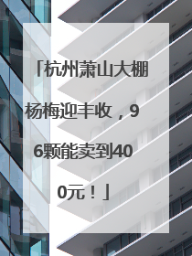 杭州萧山大棚杨梅迎丰收，96颗能卖到400元！