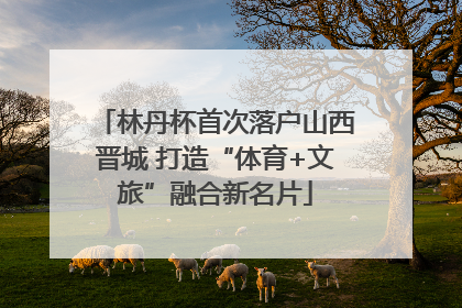 林丹杯首次落户山西晋城 打造“体育+文旅”融合新名片