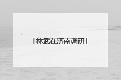 林武在济南调研
