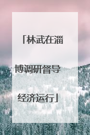 林武在淄博调研督导经济运行