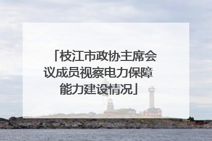 枝江市政协主席会议成员视察电力保障能力建设情况