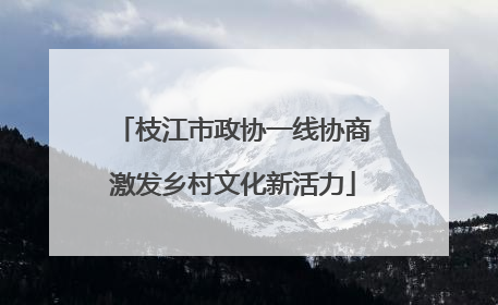 枝江市政协一线协商激发乡村文化新活力