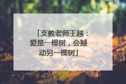 支教老师王越：爱是一棵树，会撼动另一棵树