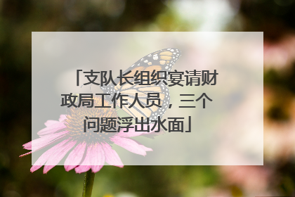 支队长组织宴请财政局工作人员，三个问题浮出水面