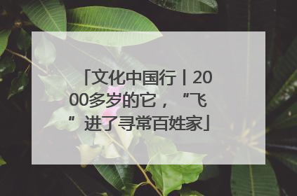 文化中国行丨2000多岁的它，“飞”进了寻常百姓家