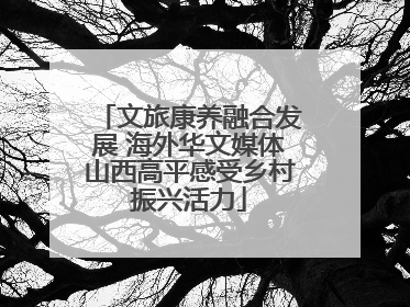 文旅康养融合发展 海外华文媒体山西高平感受乡村振兴活力