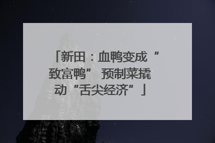 新田：血鸭变成“致富鸭” 预制菜撬动“舌尖经济”