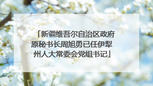 新疆维吾尔自治区政府原秘书长周旭勇已任伊犁州人大常委会党组书记