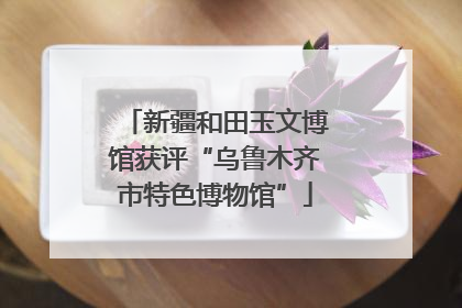 新疆和田玉文博馆获评“乌鲁木齐市特色博物馆”