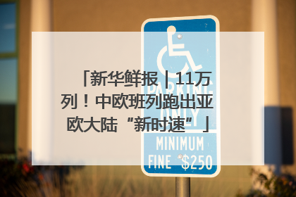 新华鲜报｜11万列！中欧班列跑出亚欧大陆“新时速”