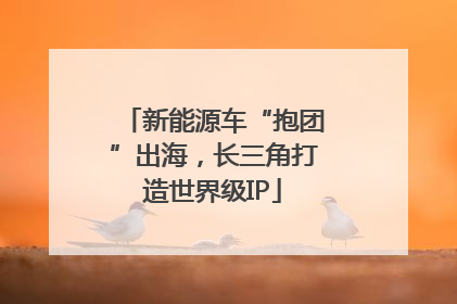 新能源车“抱团”出海，长三角打造世界级IP