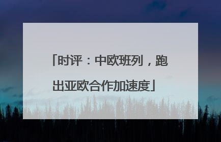 时评：中欧班列，跑出亚欧合作加速度
